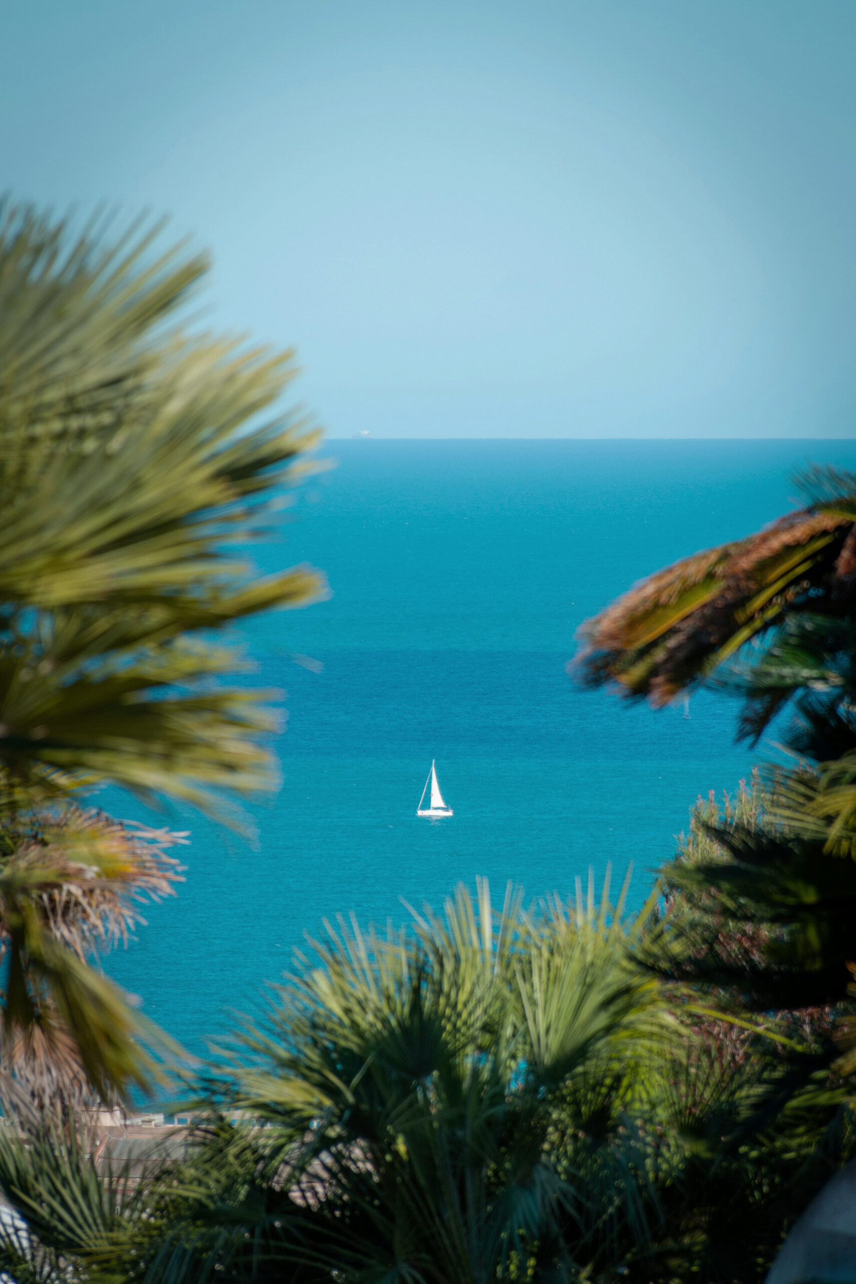 A lone white sailboat on a vivid turquoise sea, framed by blurred palm trees in the foreground beneath a pale blue sky.
